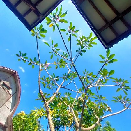 Nature Villa Gili Trawangan Bagian luar foto